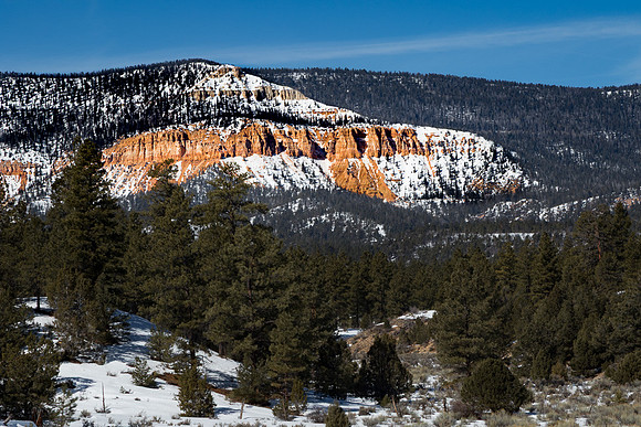 Disant Hoodoo's #3