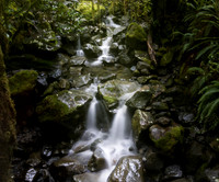 cleddau River trobuarycascade