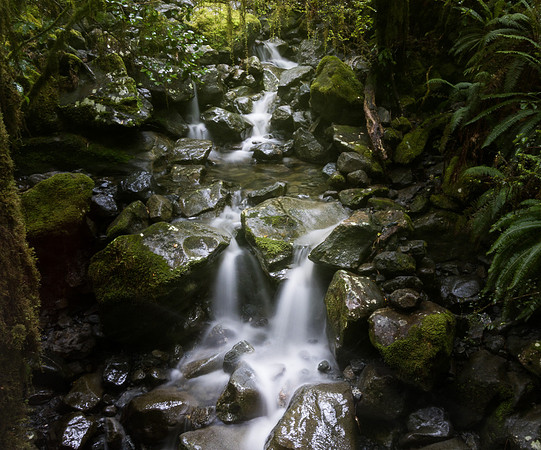 cleddau River trobuarycascade