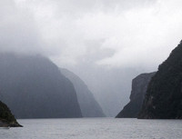 Milford Sound, NZ