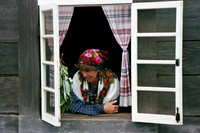 Fort ERoss docent
