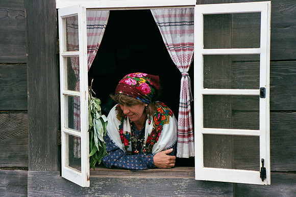 Fort ERoss docent