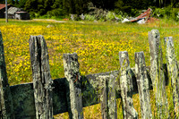 Fort Ross - 1