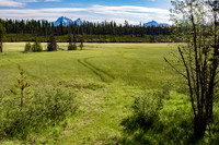 McGee Meadow