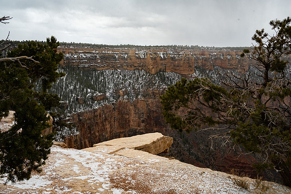 Grand Canon from South Kiabab Trailhead Spur Rd