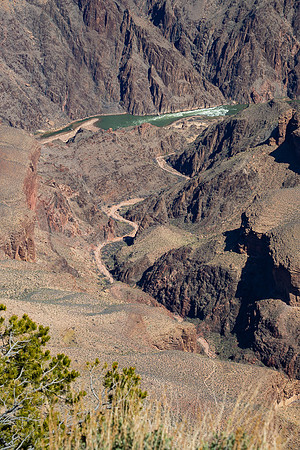 Grand Canyon and Colorado River from Pima Point #1