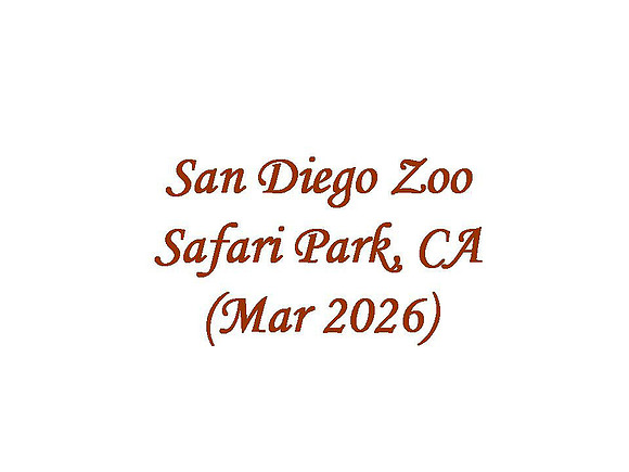 San Diego Zoo Safari Park, Mar 2026