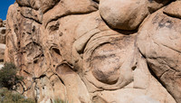 Eroded rock formation, Joshua Tree NP