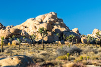 Jumble of rocks, Joshua Tree NP