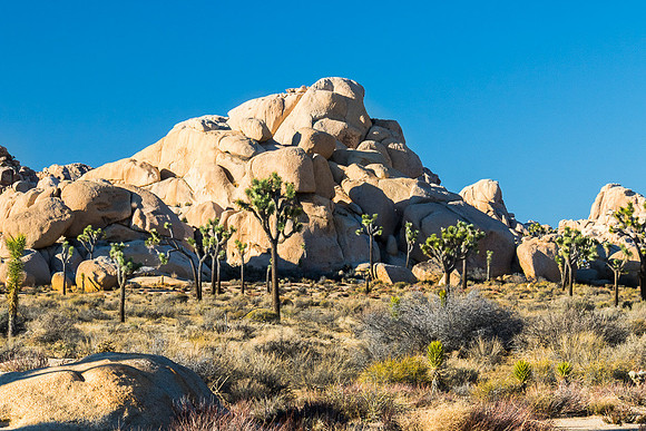 Jumble of rocks, Joshua Tree NP