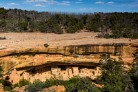 Spruce Tree House under Mesa