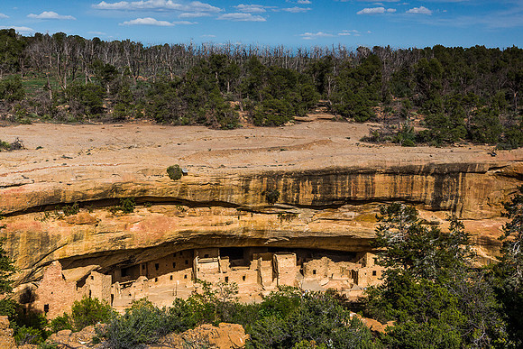 Spruce Tree House under Mesa