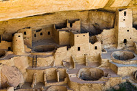 Spruce Tree House