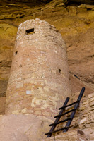 Spruce Tree House Tower