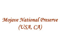 Mohave National Preserve (USA, CA)