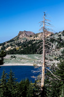 Lake Helen  with dead tree