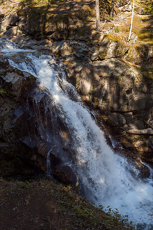 Ohanapecosh River, Silver Falls, Silver Falls Loop Trail, Mt. Raineer, NP