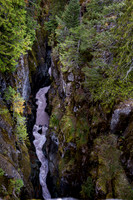 Box Canyon from Stevens Creek Rd