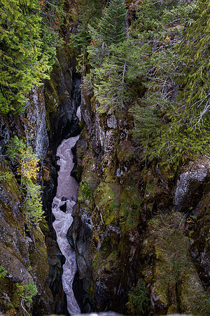 Box Canyon from Stevens Creek Rd