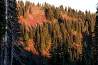 Mazama Ridge #2