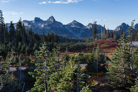 Tatoosh Range from Paradise Inn