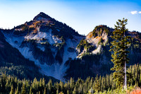 From Paradise Area, Mt. Rainier NP
