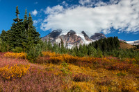 Mt. Rainier with fall color #1