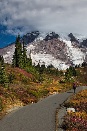 Mt. Rainier with fall color #2