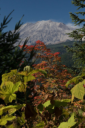 Mt. St. Helens from the East side