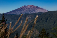 Mt. St. Helens from the East side #2