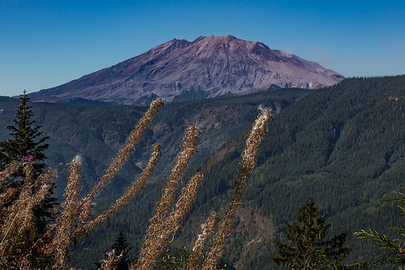 Mt. St. Helens from the East side #2