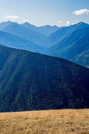 Valley by Hurricane Ridge
