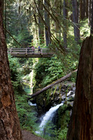 Bridge at Sol Duc Fall #1