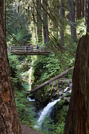 Bridge at Sol Duc Fall #1