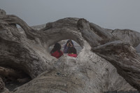 Photographing the kids through driftwood