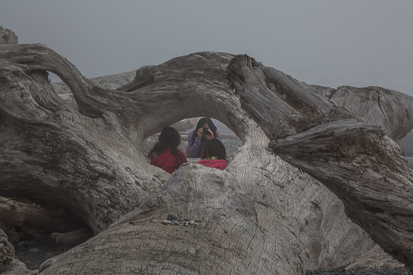 Photographing the kids through driftwood