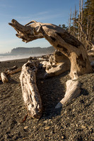 Rialto Beach Sunset Driftwood