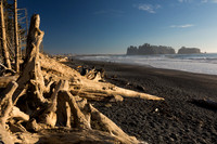 Rialto Beach Sunset Driftwood 2