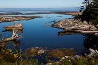 Kalaloch Lagoon #1