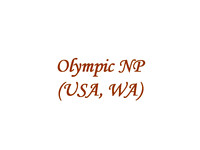 Olympic NP (USA, WA)