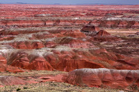 Painted Desert 1, AZ