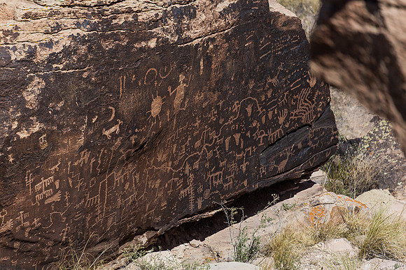 Newspaper Rock, Petrified Forest NP