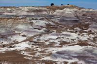 Painted Desert 9, AZ