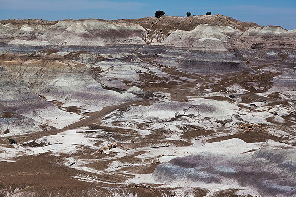 Painted Desert 9, AZ
