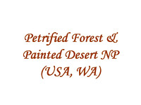 Petrified Forest & Painted Desert (USA, AZ)