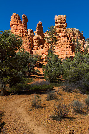 Red Canyon Hoodoo's 1