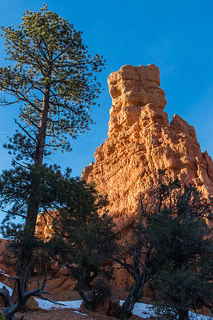 Red Canyon SP Utah #4