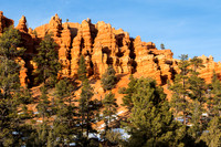 Red Canyon SP Utah #7