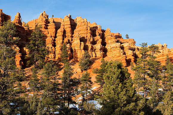 Red Canyon SP Utah #7