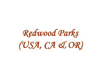 Redwood Parks (USA, CA & OR)